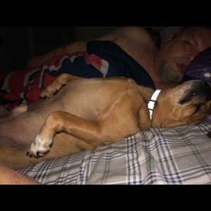 Meet your Posher, Carol